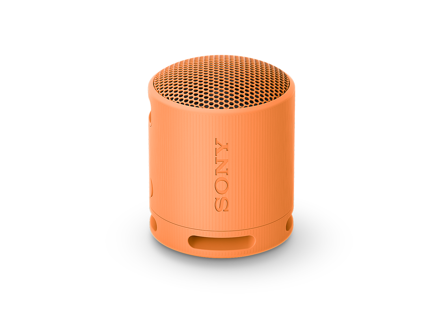 Sony SRS-XB100 Speaker